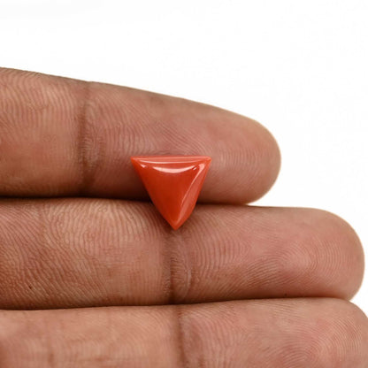 Red Coral (Moonga) Carat 4.21