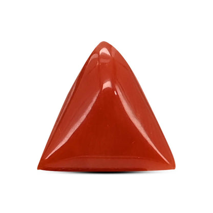 Red Coral (Moonga) Carat 3.66