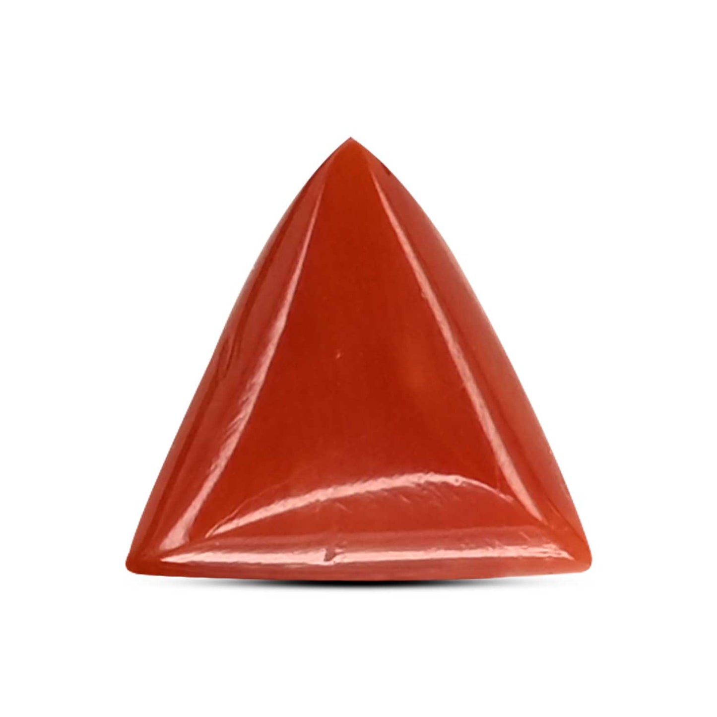 Red Coral (Moonga) Carat 3.66