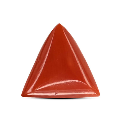 Red Coral (Moonga) Carat 3.66