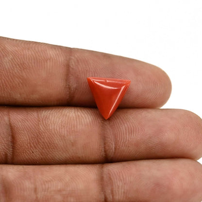 Red Coral (Moonga) Carat 3.66