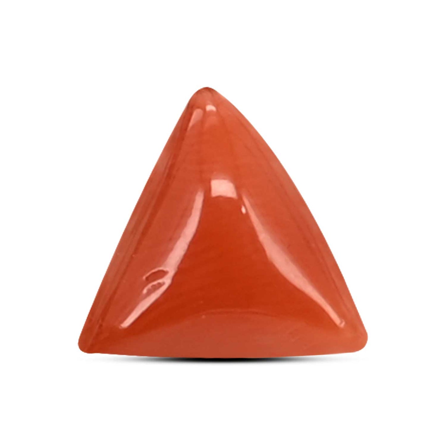Red Coral (Moonga) Carat 2.84