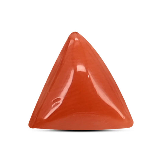 Red Coral (Moonga) Carat 2.84