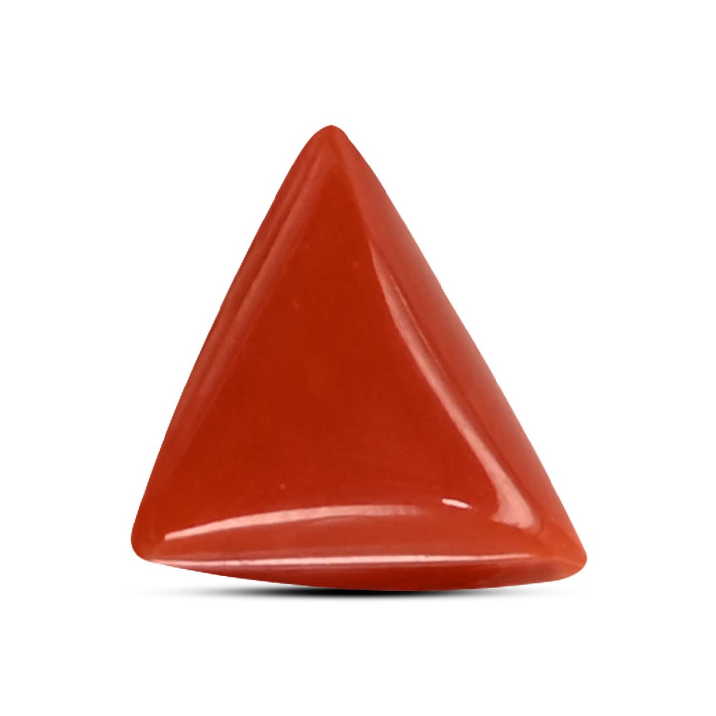 Red Coral (Moonga) Carat 3.65