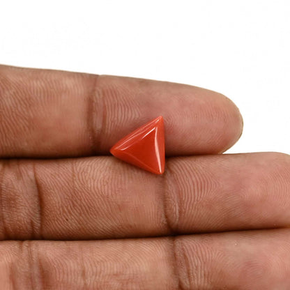 Red Coral (Moonga) Carat 3.65