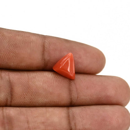 Red Coral (Moonga) Carat 3.77