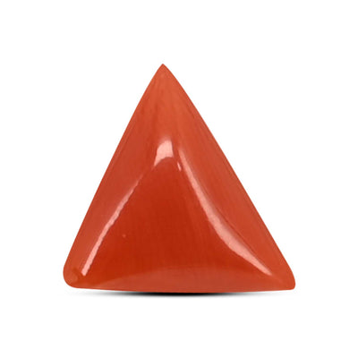 Red Coral (Moonga) Carat 3.1