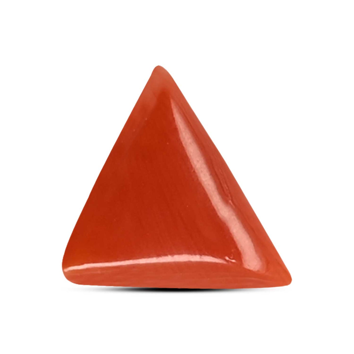 Red Coral (Moonga) Carat 3.1