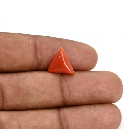 Red Coral (Moonga) Carat 3.1