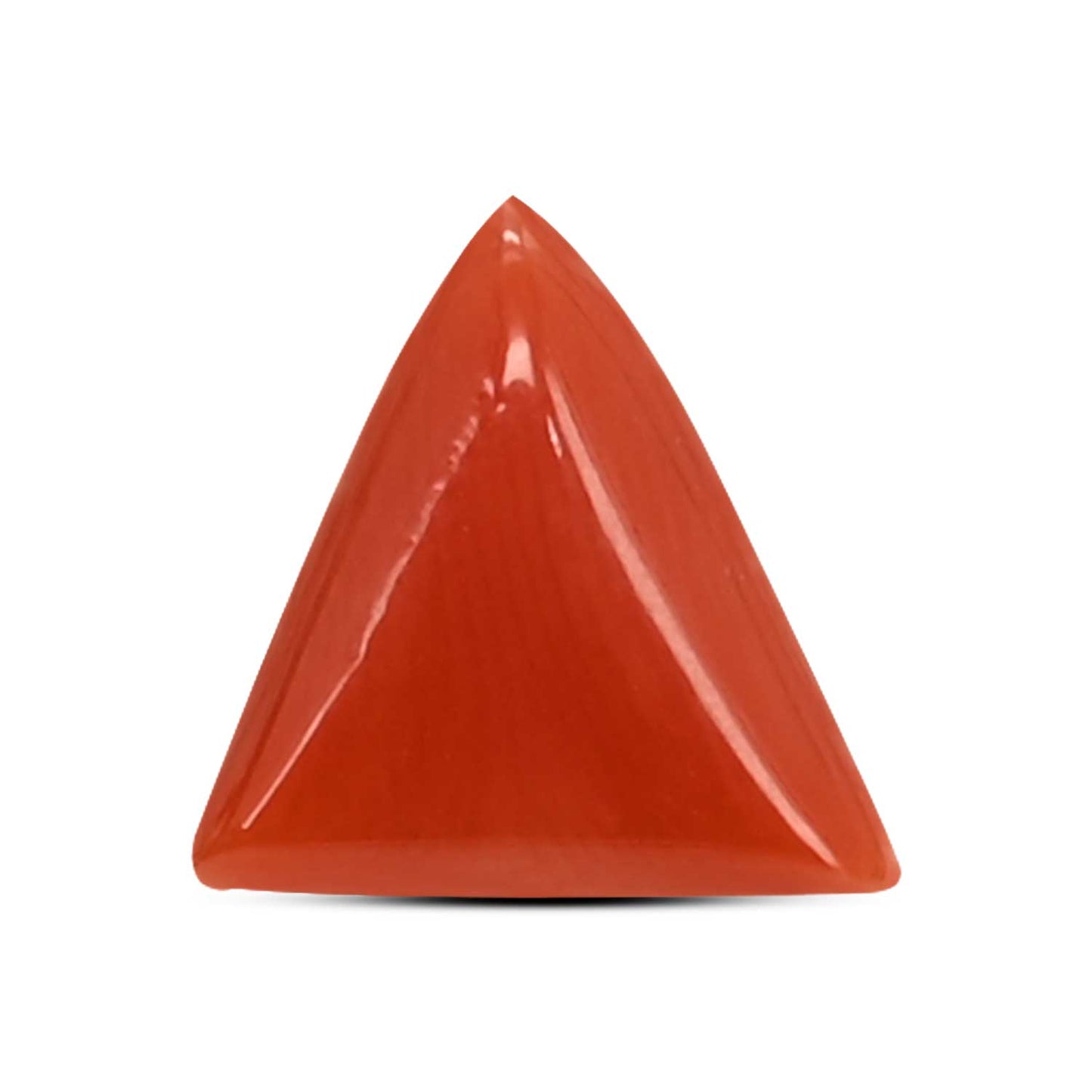 Red Coral (Moonga) Carat 3.8