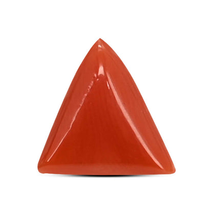 Red Coral (Moonga) Carat 3.8