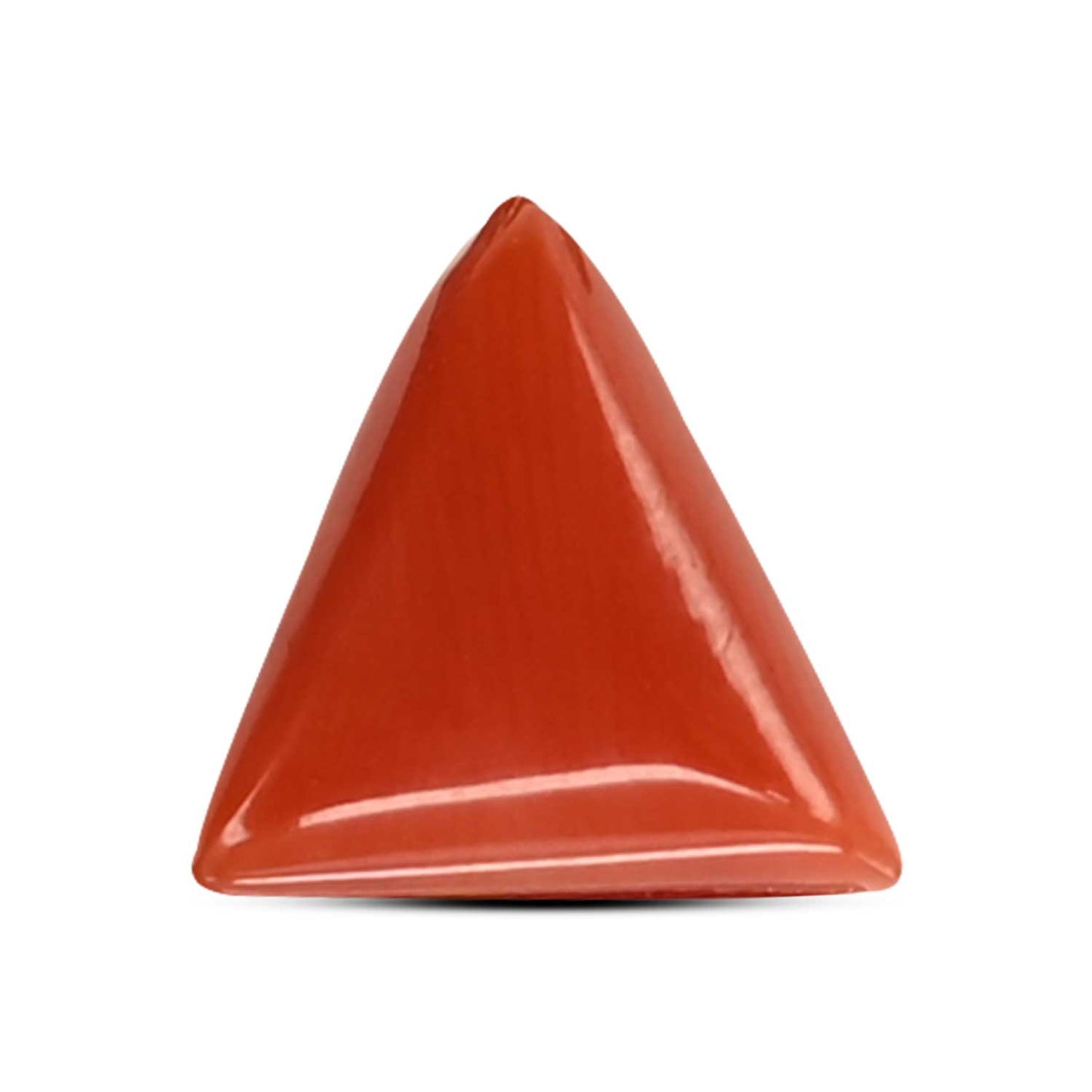 Red Coral (Moonga) Carat 3.8