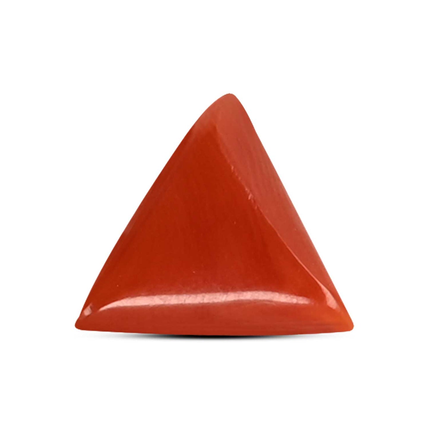 Red Coral (Moonga) Carat 3.19