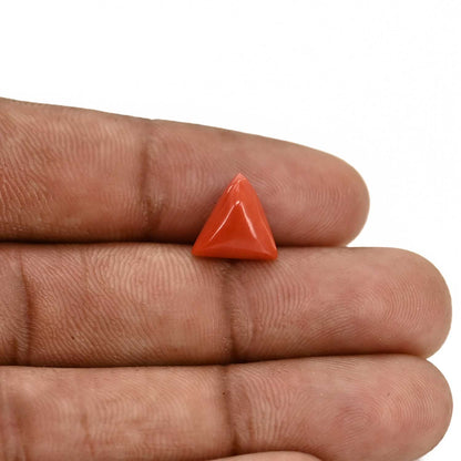 Red Coral (Moonga) Carat 3.3
