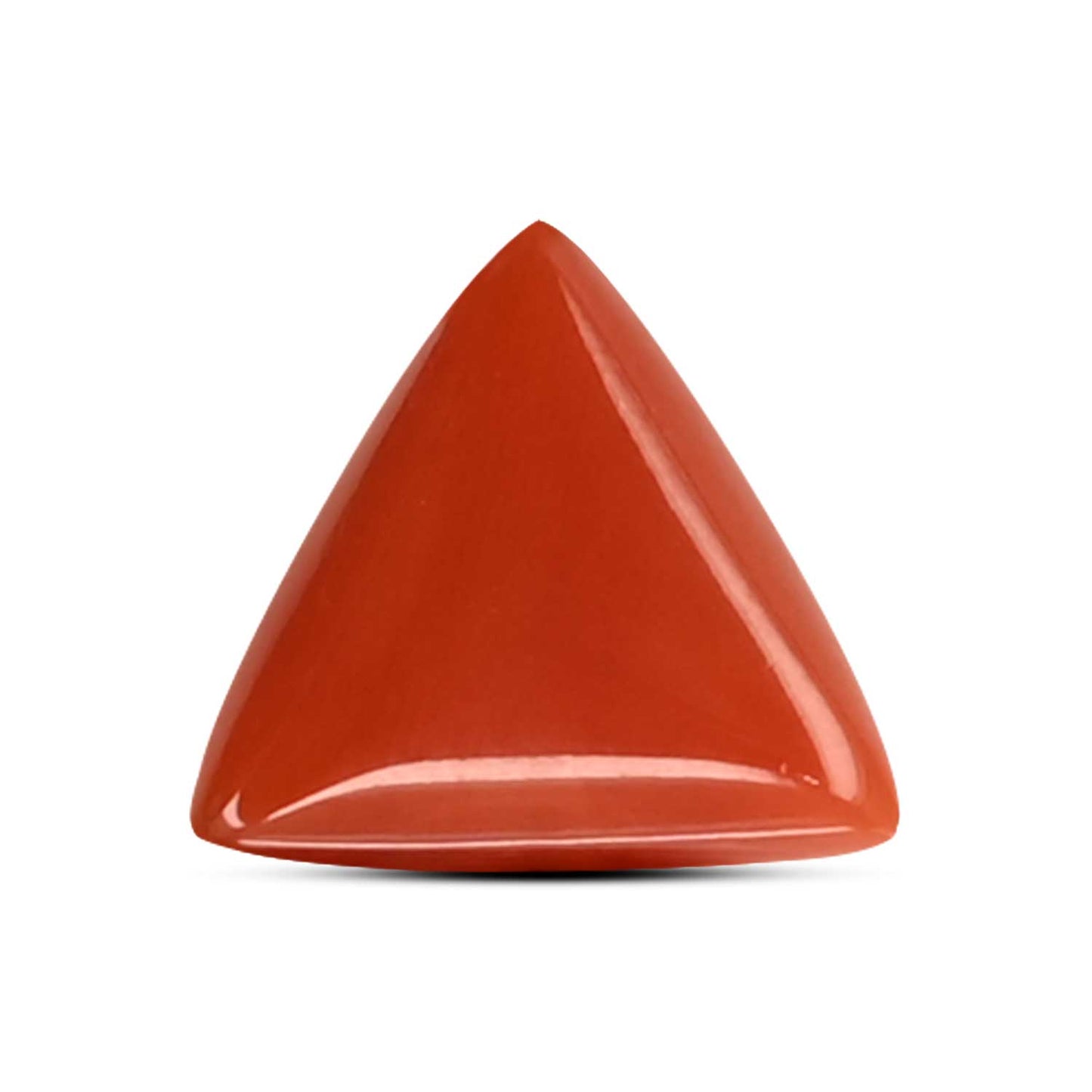 Red Coral (Moonga) Carat 4.08