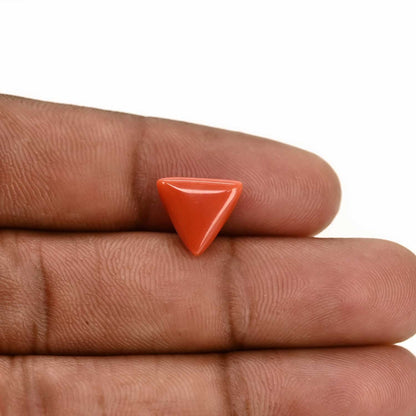 Red Coral (Moonga) Carat 4.08
