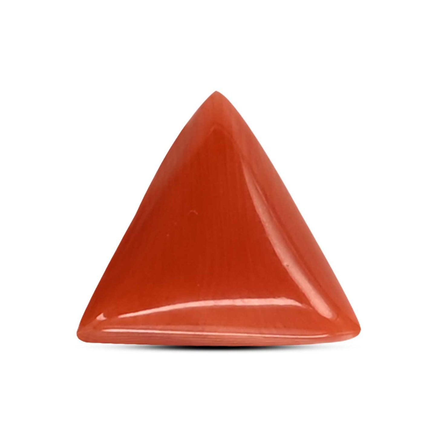 Red Coral (Moonga) Carat 4.1