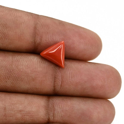 Red Coral (Moonga) Carat 3.22