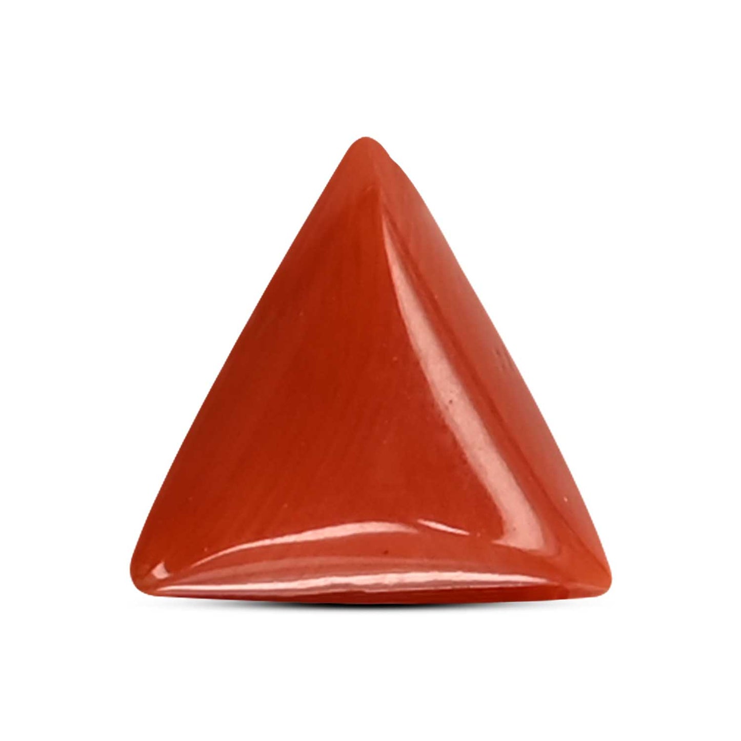 Red Coral (Moonga) Carat 3.39