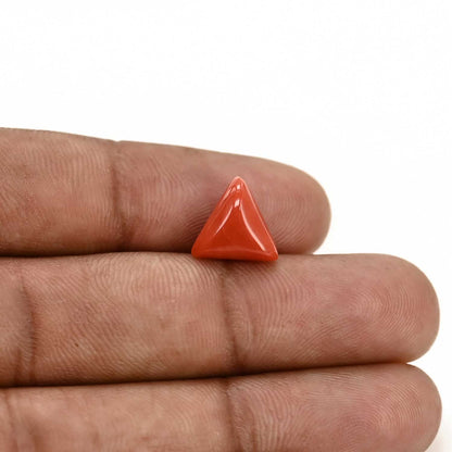 Red Coral (Moonga) Carat 3.39