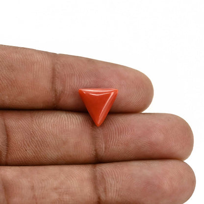 Red Coral (Moonga) Carat 3.39