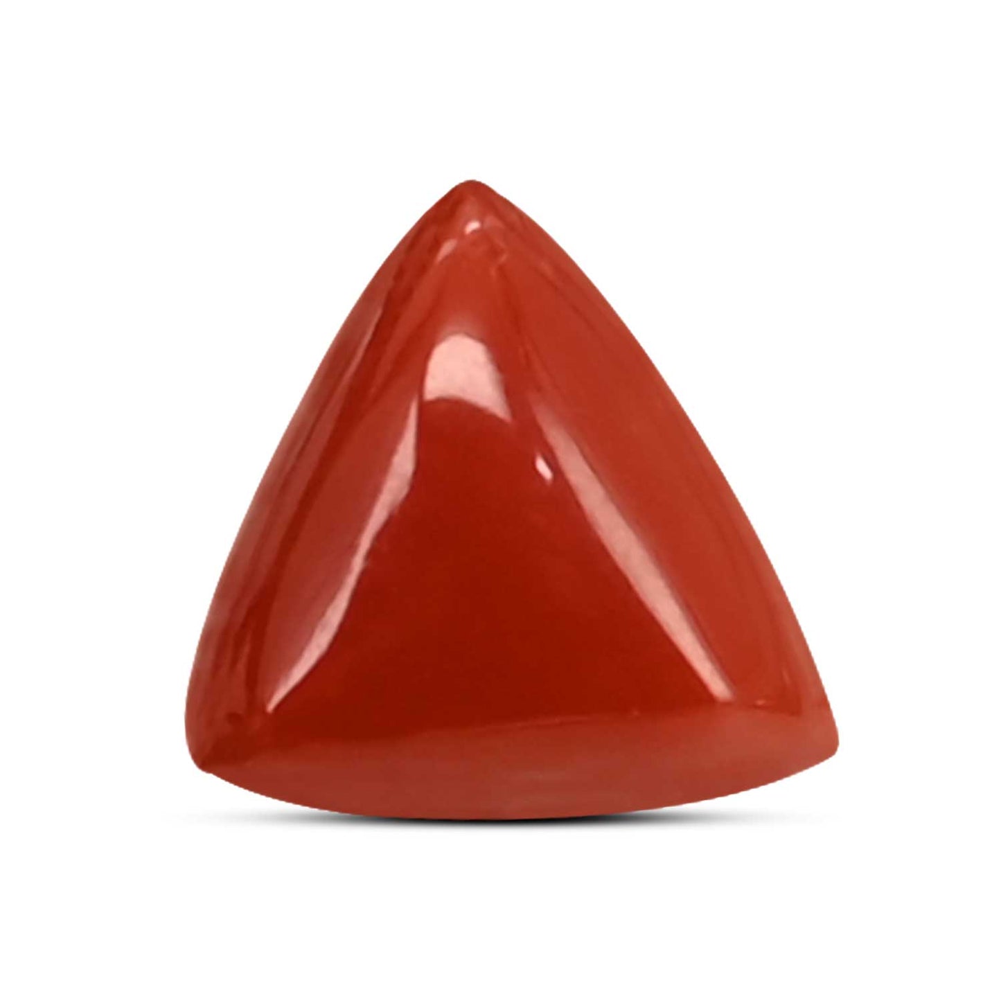 Red Coral (Moonga) Carat 3.71
