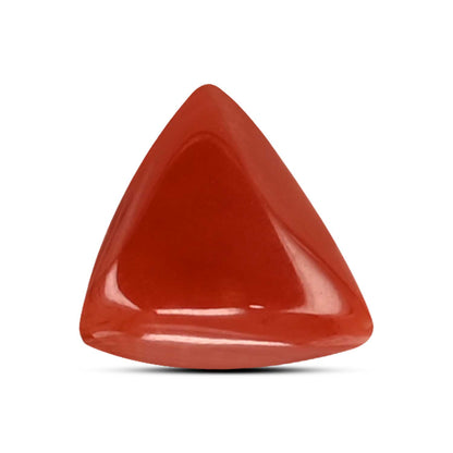 Red Coral (Moonga) Carat 3.71