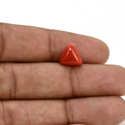 Red Coral (Moonga) Carat 3.71