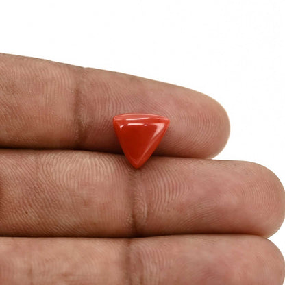 Red Coral (Moonga) Carat 3.71
