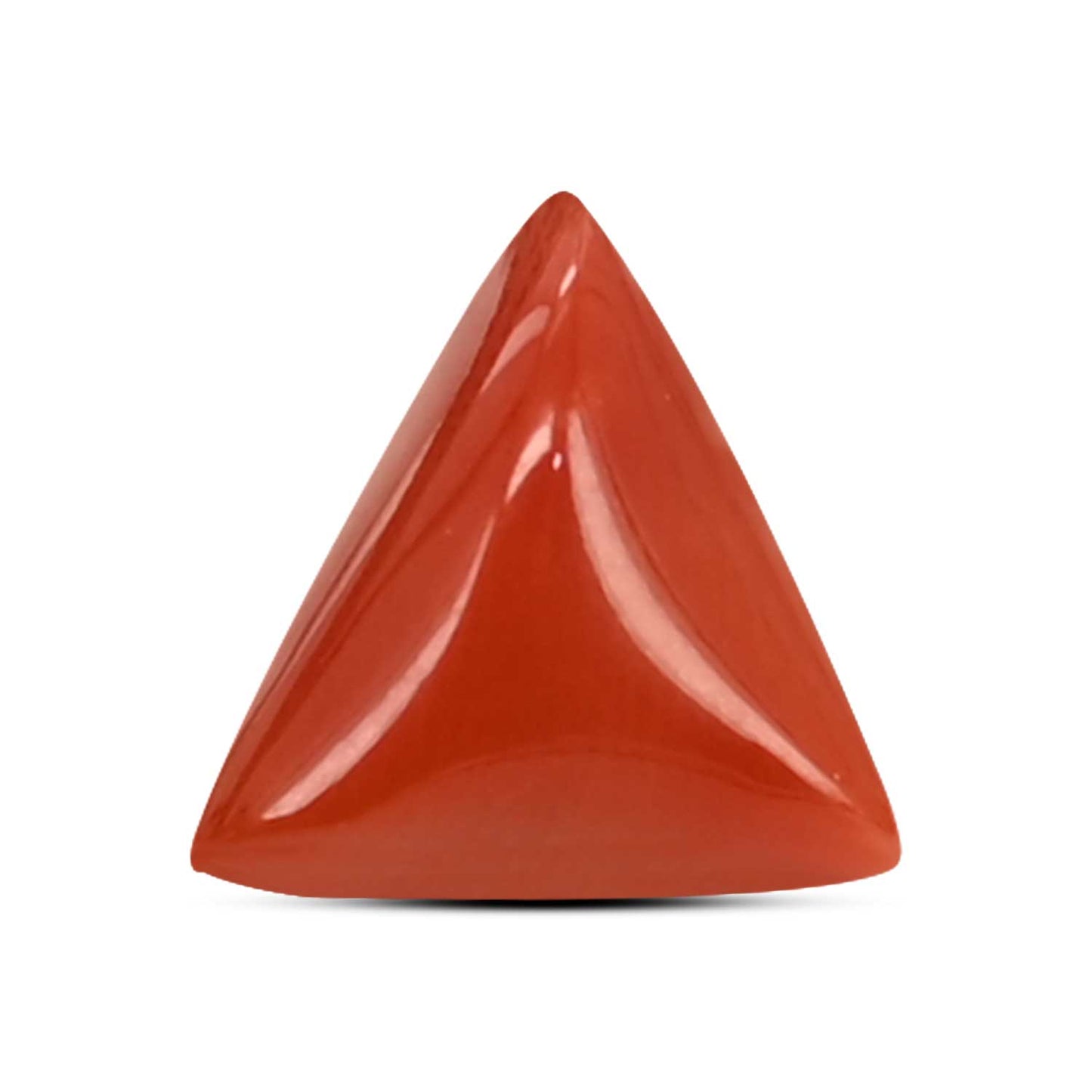 Red Coral (Moonga) Carat 3.3