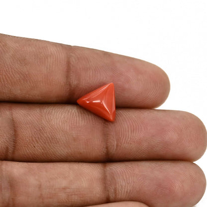 Red Coral (Moonga) Carat 3.3