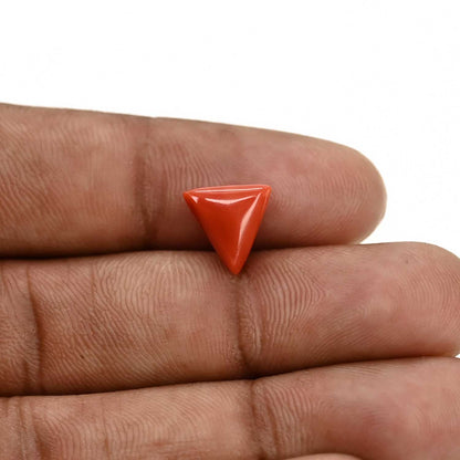 Red Coral (Moonga) Carat 3.3