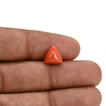 Red Coral (Moonga) Carat 3.21