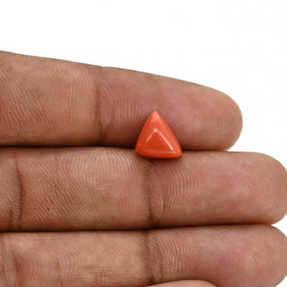 Red Coral (Moonga) Carat 3.05