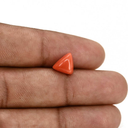 Red Coral (Moonga) Carat 3.05
