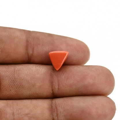 Red Coral (Moonga) Carat 3.05