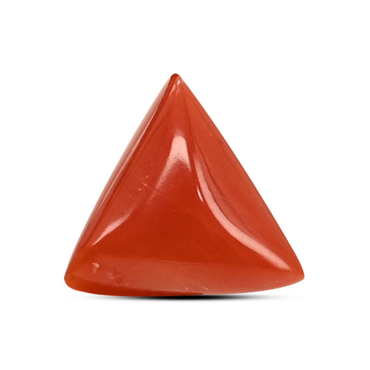 Red Coral (Moonga) Carat 7.15