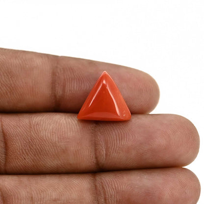 Red Coral (Moonga) Carat 7.15