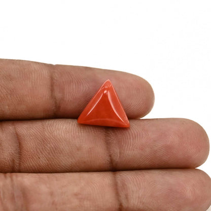 Red Coral (Moonga) Carat 6.72