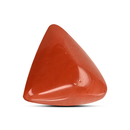 Red Coral (Moonga) Carat 8.95