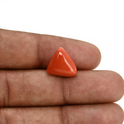 Red Coral (Moonga) Carat 8.95