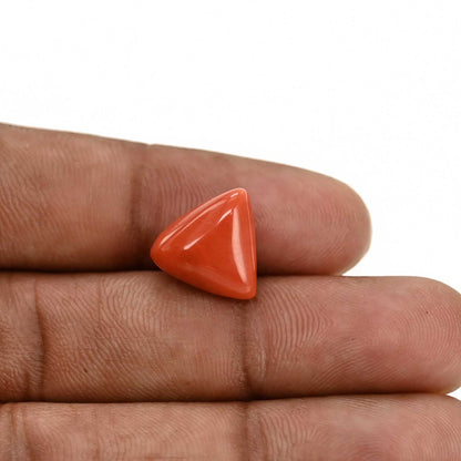 Red Coral (Moonga) Carat 8.95