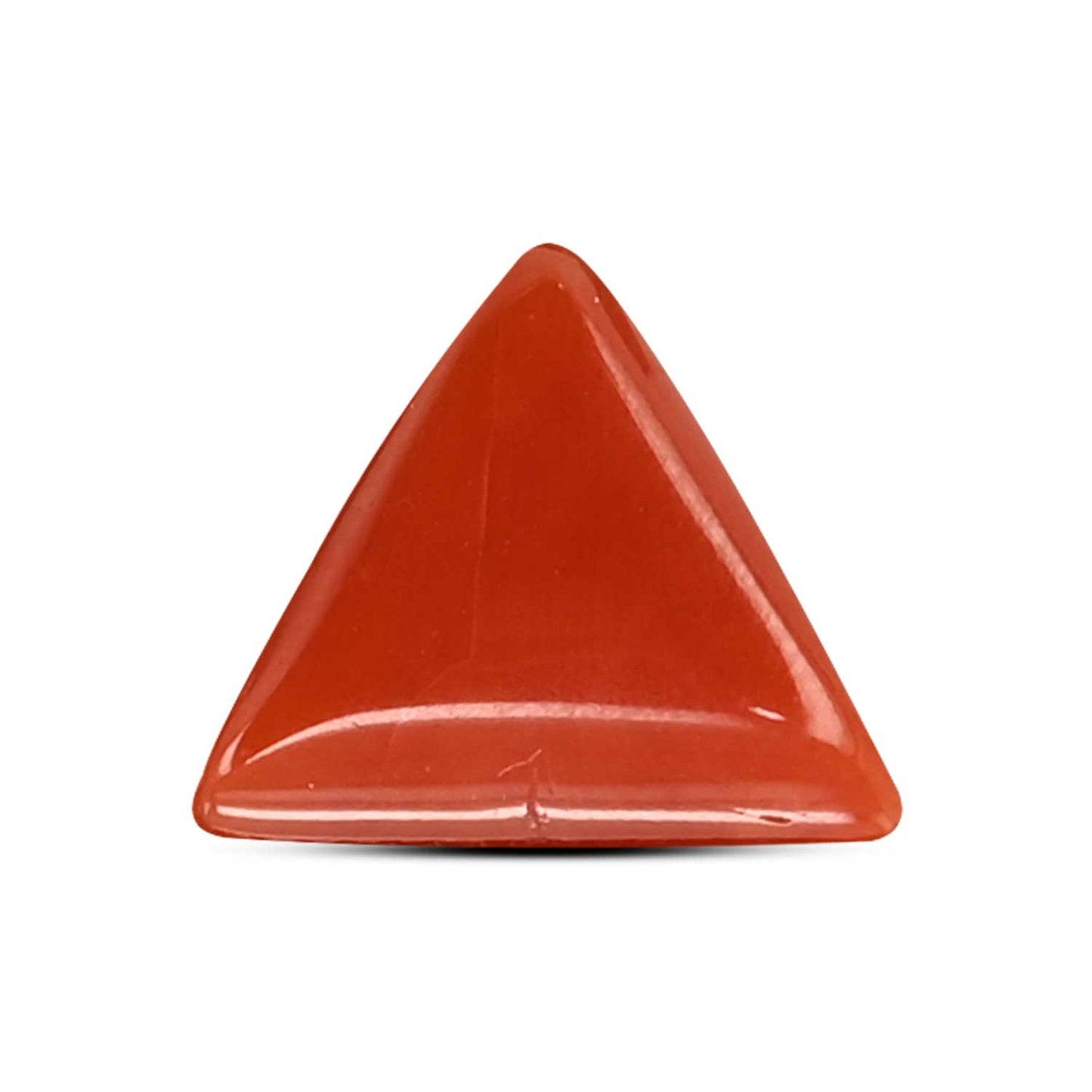 Red Coral (Moonga) Carat 5.94
