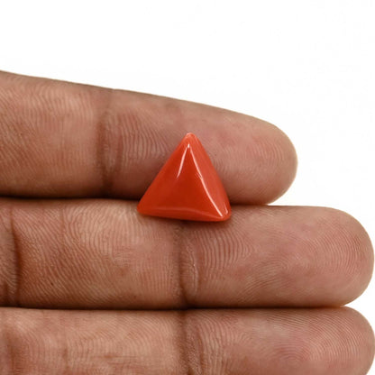 Red Coral (Moonga) Carat 5.94
