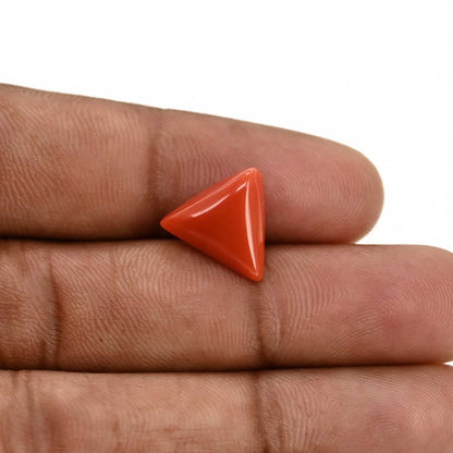 Red Coral (Moonga) Carat 5.94