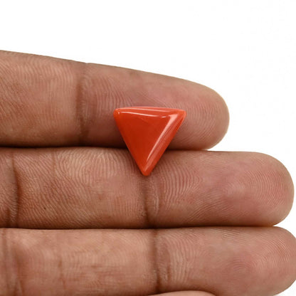 Red Coral (Moonga) Carat 5.94