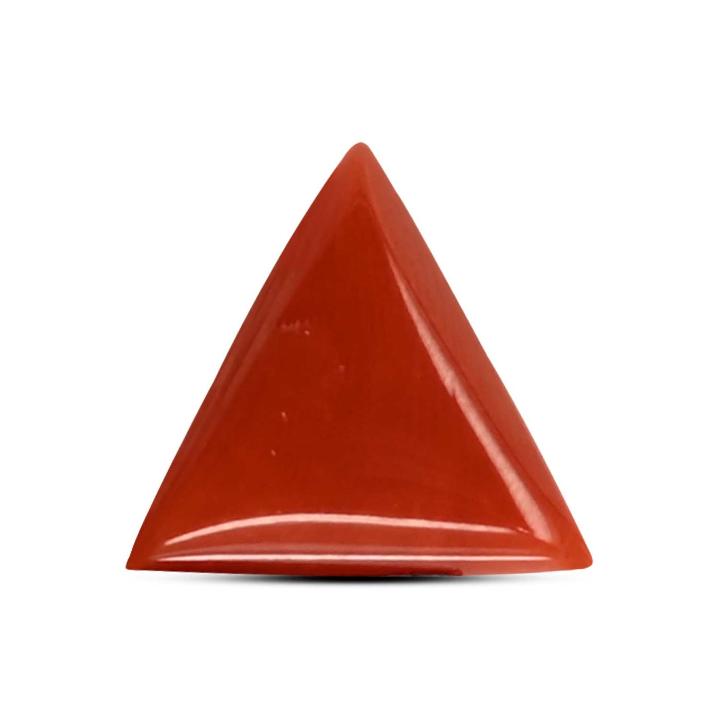 Red Coral (Moonga) Carat 5.92