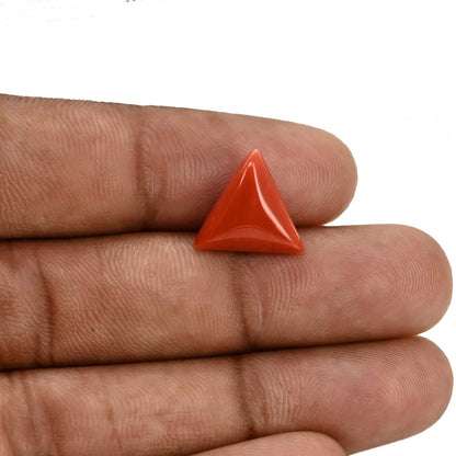Red Coral (Moonga) Carat 5.92