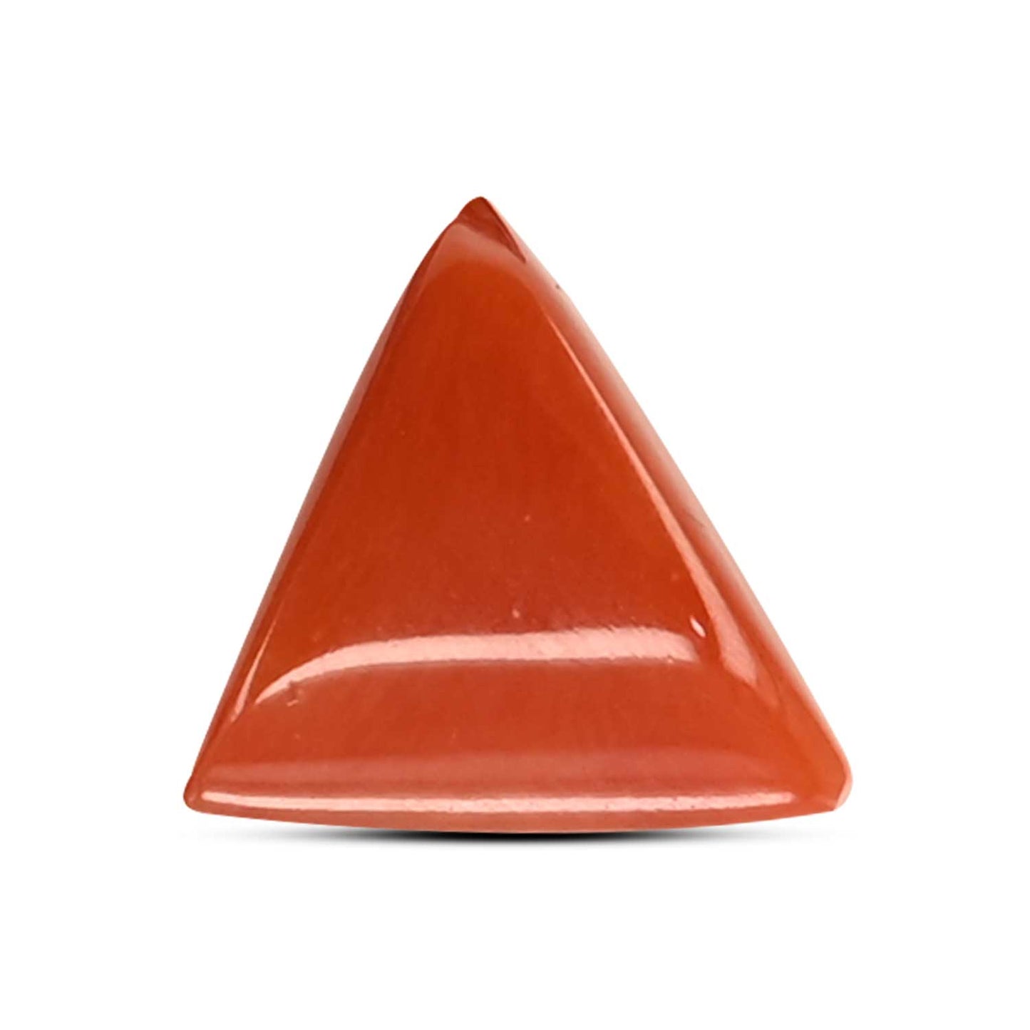 Red Coral (Moonga) Carat 5.5