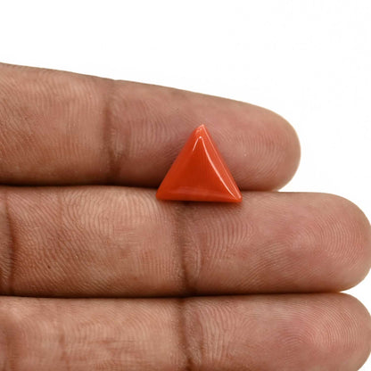 Red Coral (Moonga) Carat 4.54